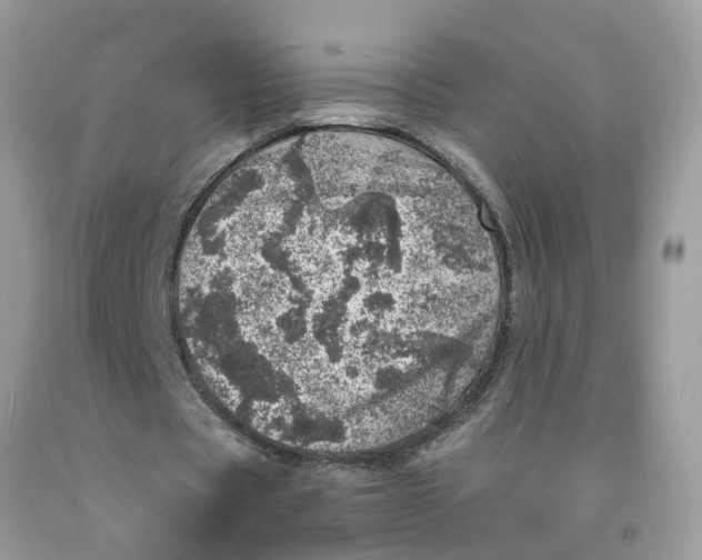 X0000091450529200709061737