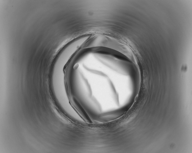 X0000091450530200709061737