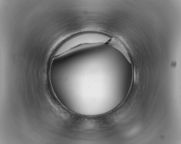 X0000091450531200709061737