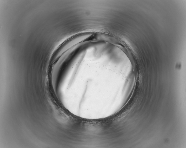 X0000091450532200709061737