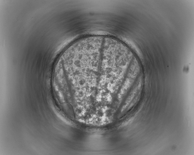 X0000091450533200709061737