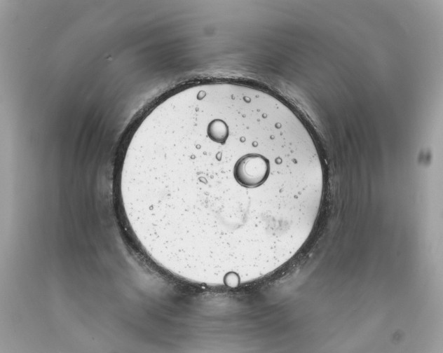 X0000091450534200709061737