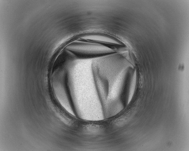 X0000091450535200709061737