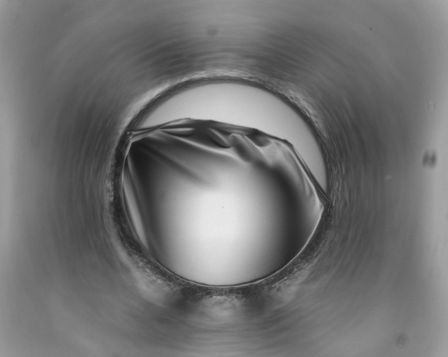 X0000091450536200709061737