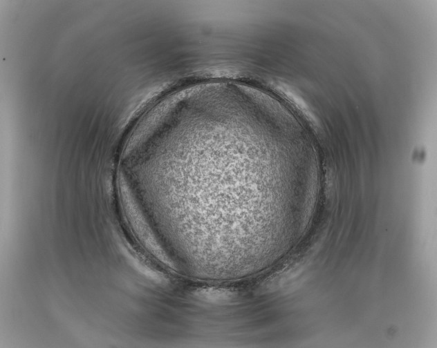 X0000091450537200709061737