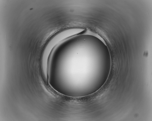 X0000091450538200709061737