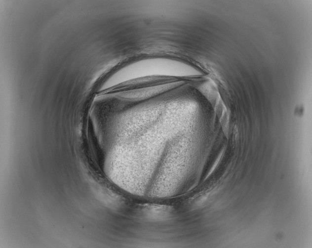 X0000091450539200709061737