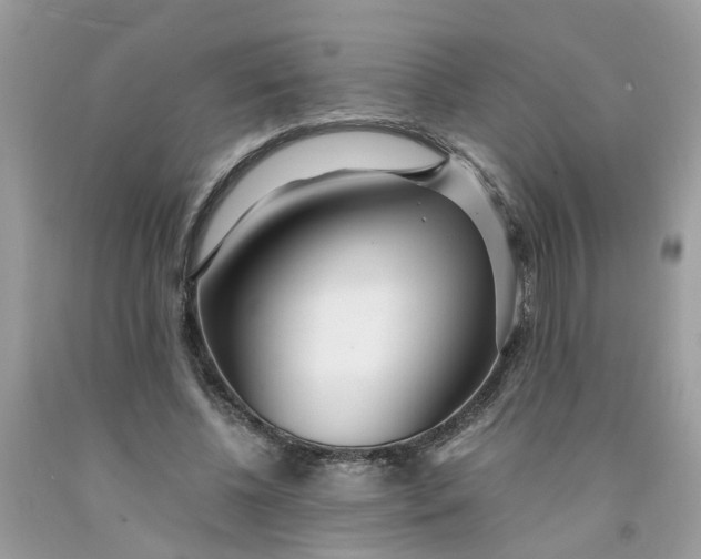 X0000091450540200709061737