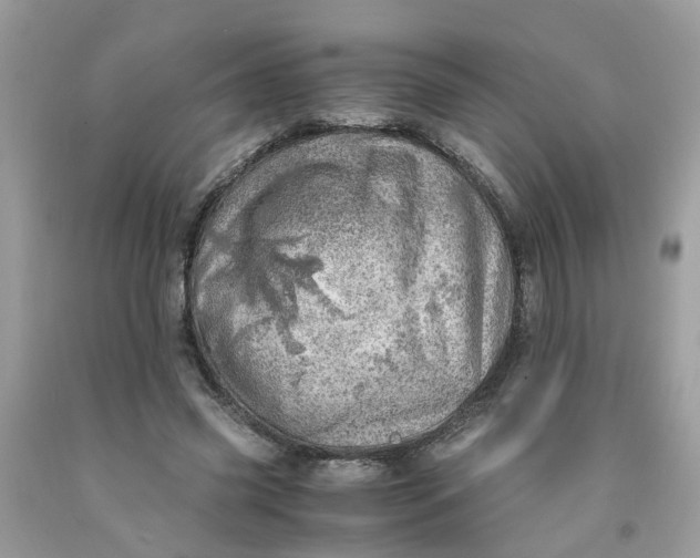 X0000091450541200709061737