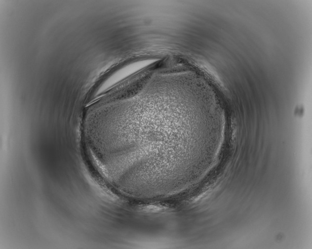 X0000091450542200709061737