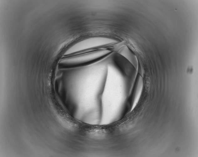 X0000091450543200709061737