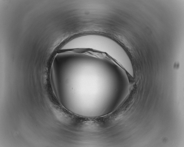 X0000091450544200709061737