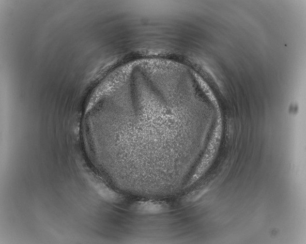 X0000091450545200709061737