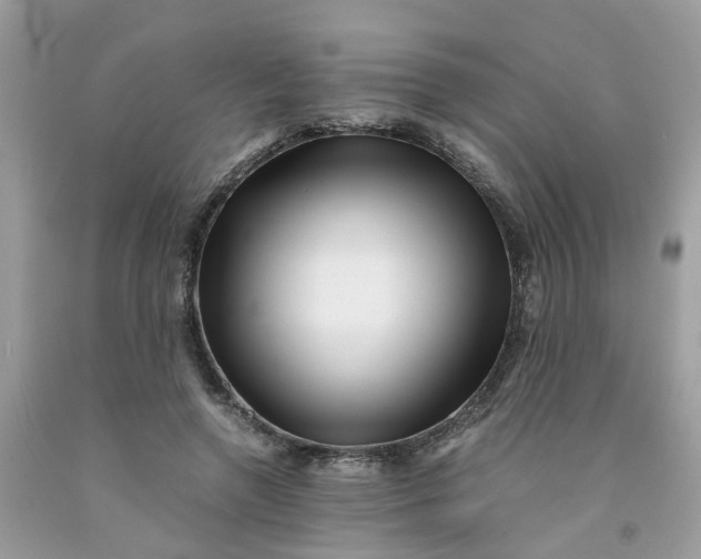 X0000091450546200709061737