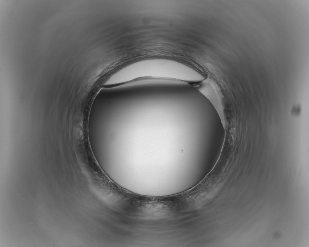 X0000091450547200709061737