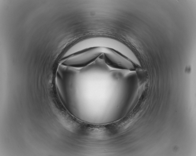 X0000091450548200709061737