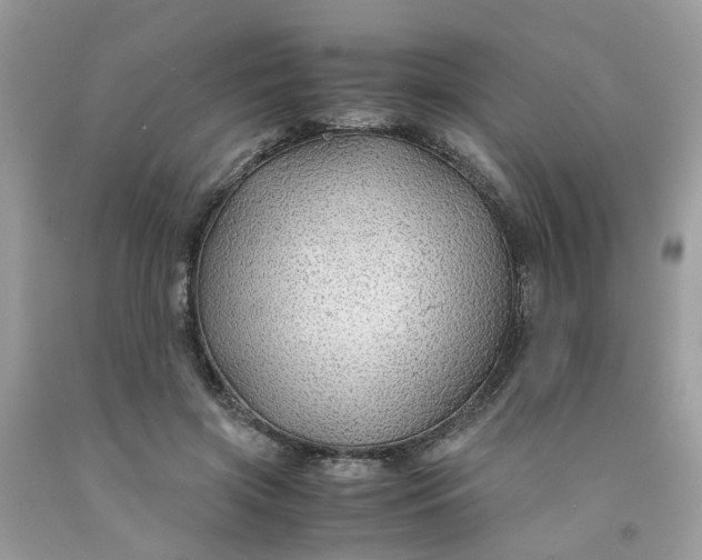 X0000091450549200709061737