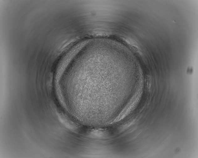 X0000091450550200709061737