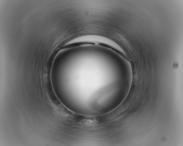 X0000091450552200709061737