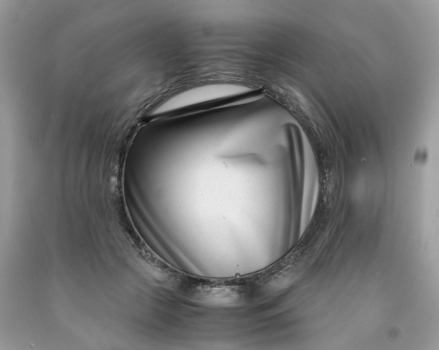 X0000091450553200709061737