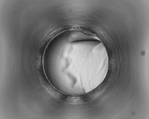 X0000091450554200709061737