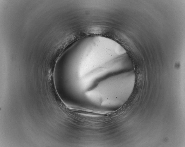 X0000091450555200709061737