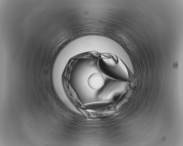 X0000091450556200709061737