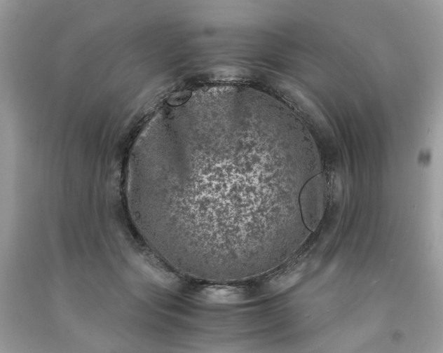 X0000091450557200709061737