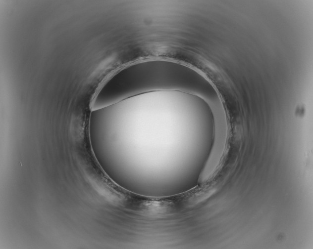 X0000091450558200709061737