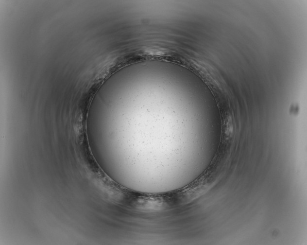 X0000091450559200709061737