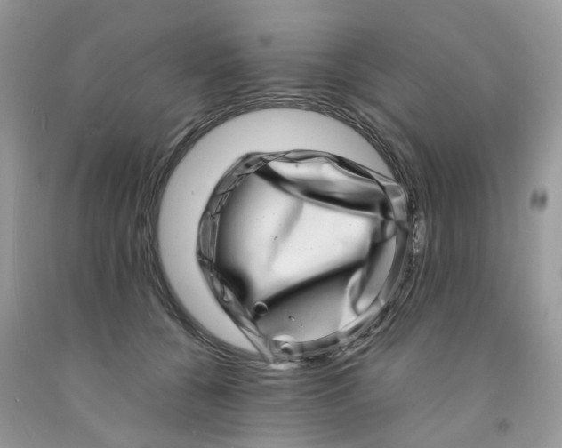 X0000091450560200709061737