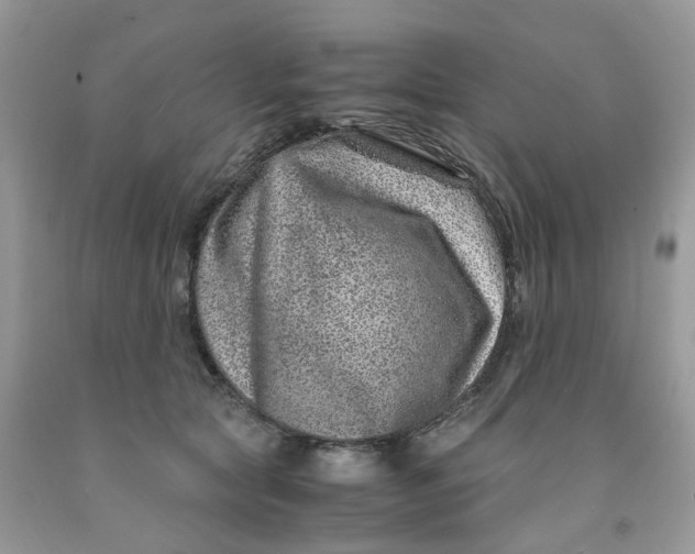 X0000091450561200709061737