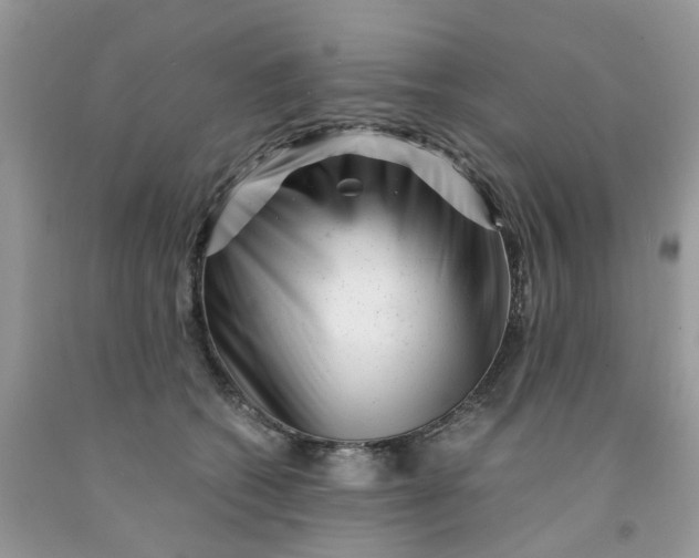 X0000091450562200709061737