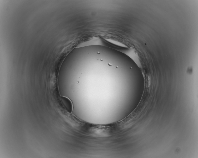 X0000091450563200709061737