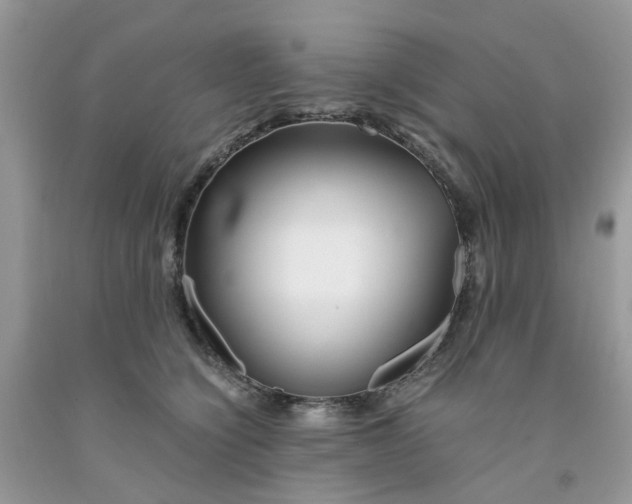 X0000091450564200709061737