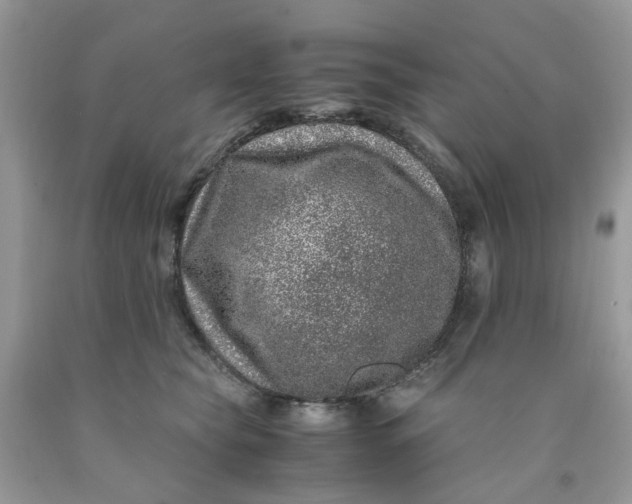 X0000091450565200709061737