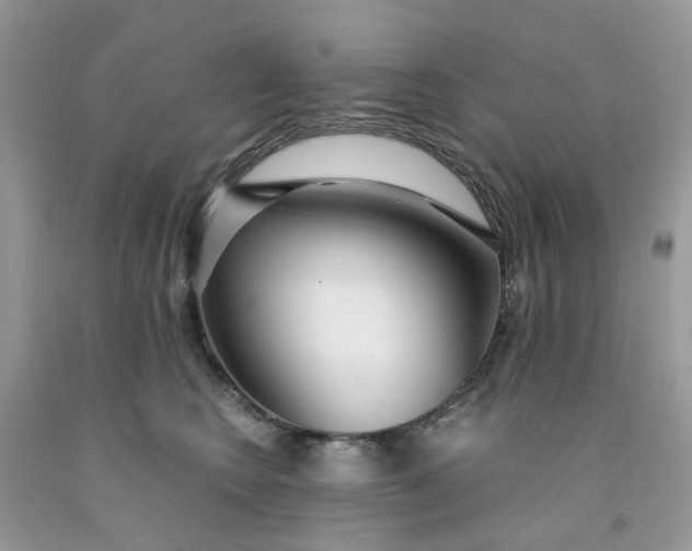 X0000091450566200709061737