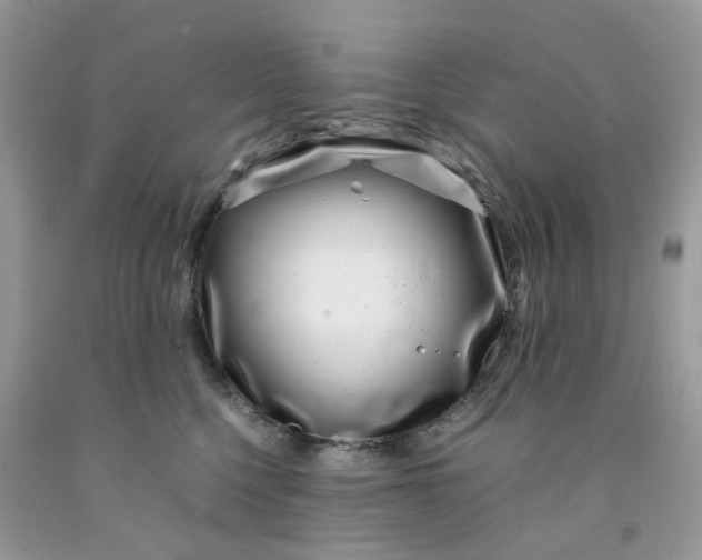 X0000091450568200709061737