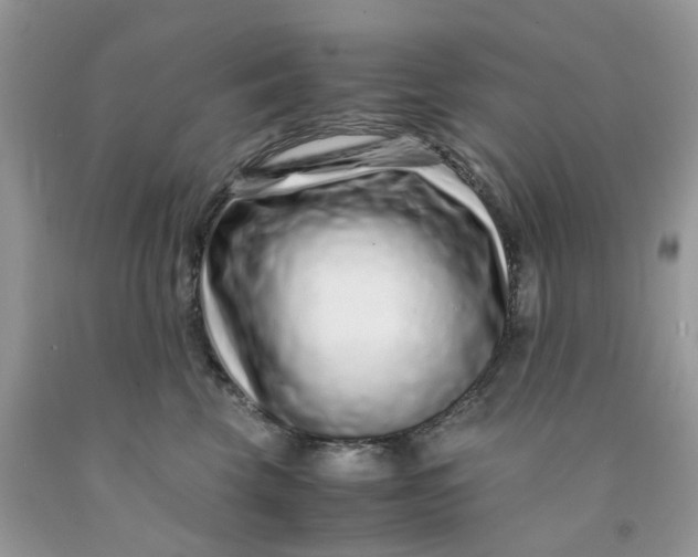 X0000091450569200709061737