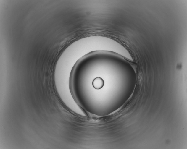 X0000091450570200709061737