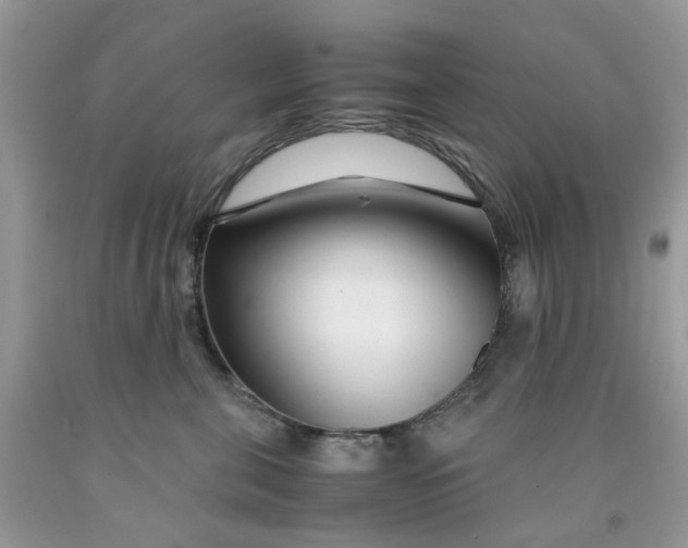 X0000091450571200709061737