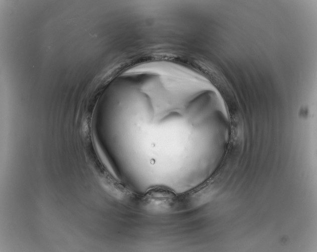 X0000091450573200709061737