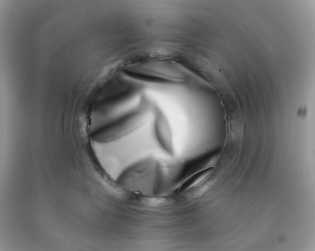 X0000091450575200709061737