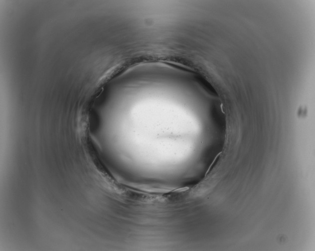 X0000091450576200709061737