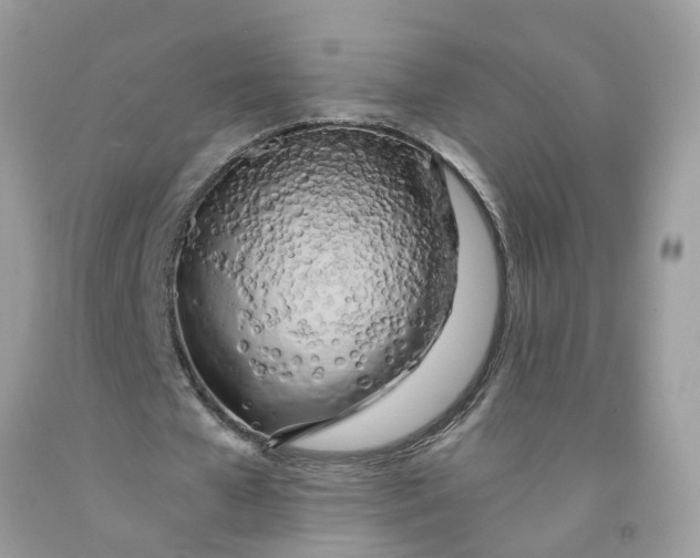 X0000091450577200709061737