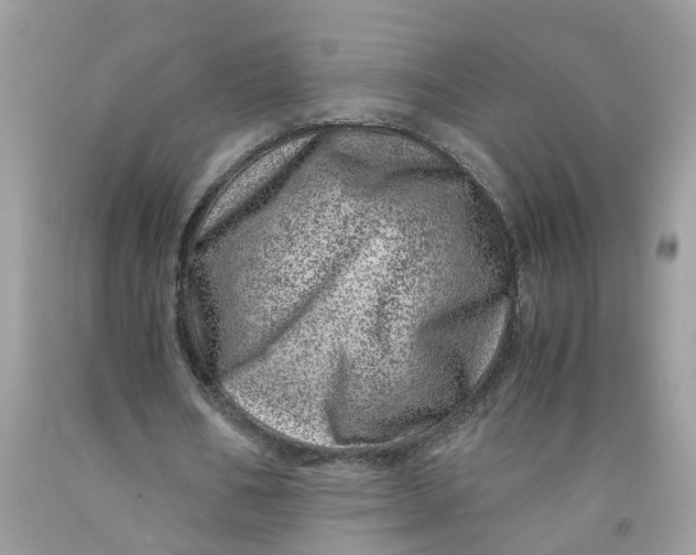 X0000091450578200709061737