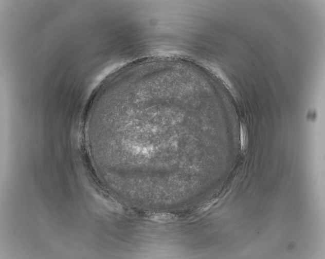 X0000091450579200709061737