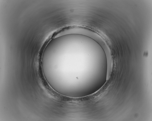 X0000091450580200709061737