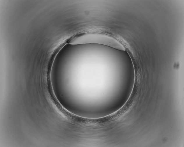 X0000091450581200709061737