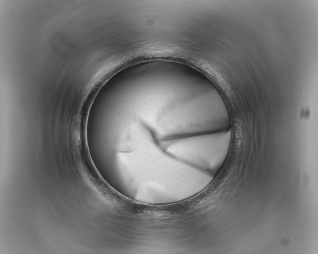 X0000091450582200709061737